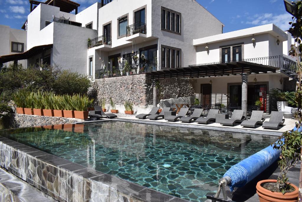 ITZAE Antigua San Miguel de Allende dog friendly