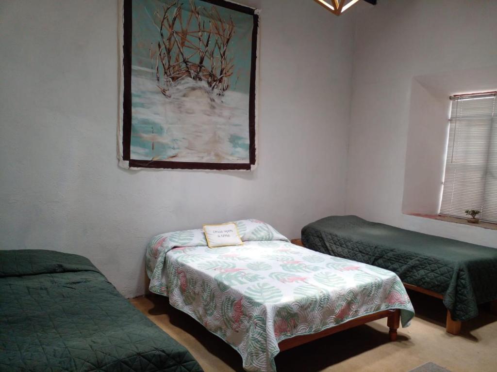 Casa Aldama 83