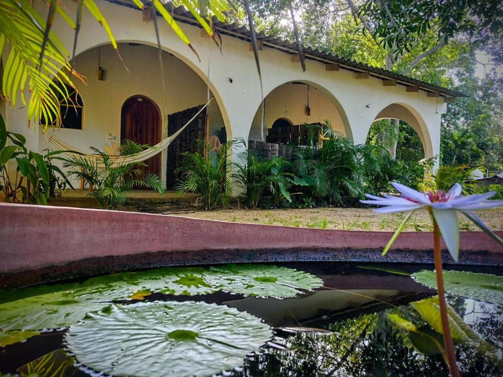Casa pájaros- Habitacion Quetzal