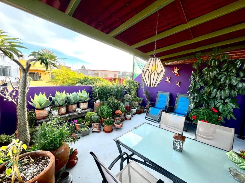 Casa Golondrina - Casa with Terrace 4 people, 2 bd, in Centro