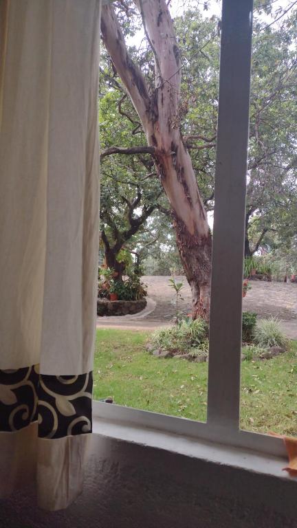 Las casitas en Tepoztlán