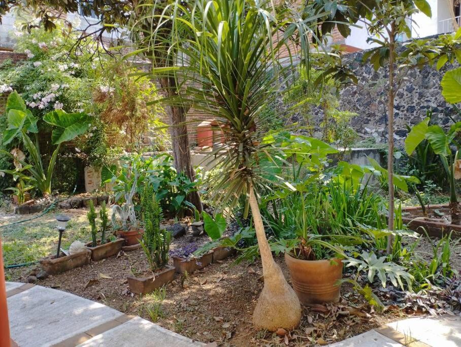 Linda Casa en Tepoztlan centro 1