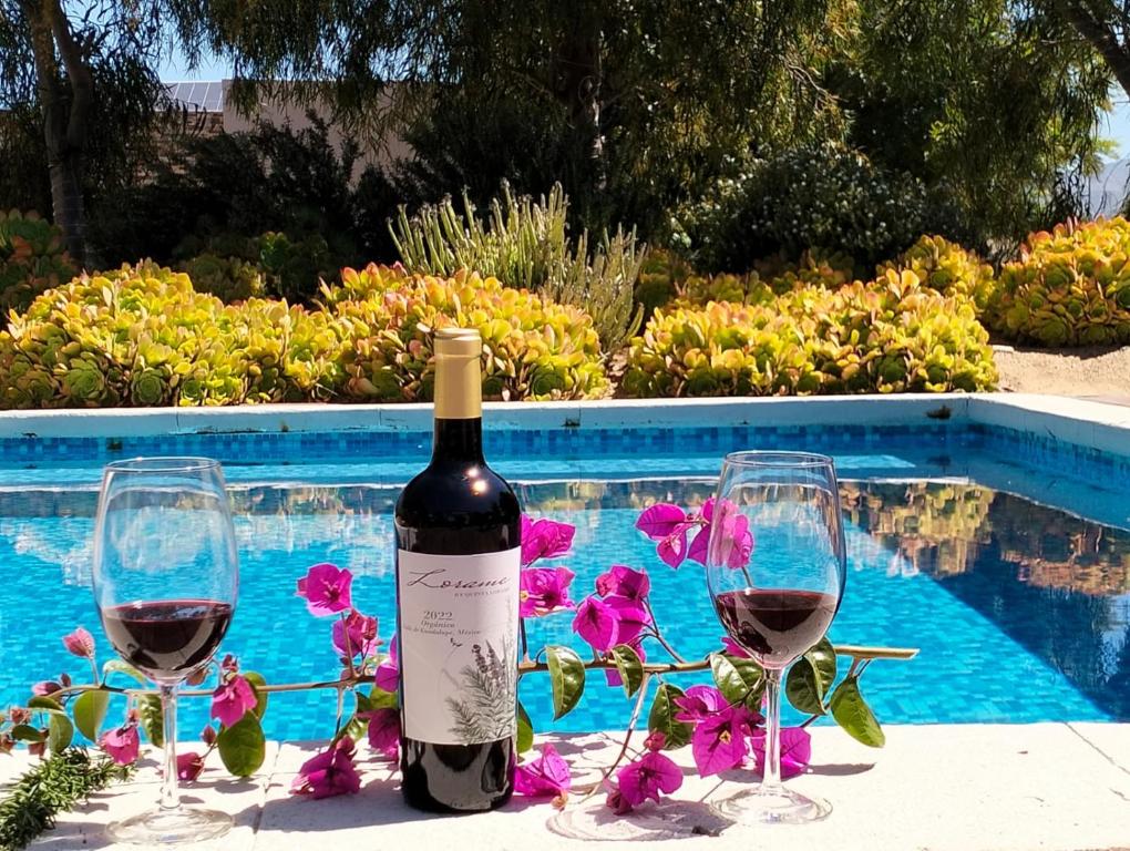 Quinta Lorame Departamento Cabernet