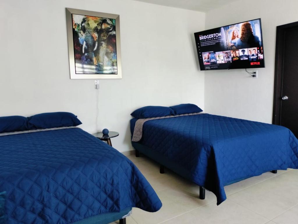 Suite Blu